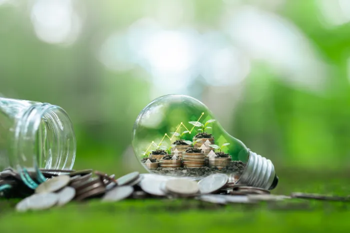 Oszczędzanie energii i pięniędzy dzięki rozwiązaniom OZE. Staleo Energy pomaga oszczędzać na rachunkach.